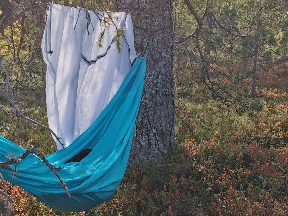 Hengekøyehvil for minsten